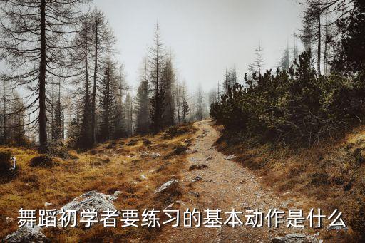 舞蹈初学者要练习的基本动作是什么