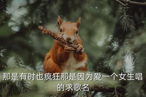 那是有时也疯狂那是因为爱一个女生唱的求歌名