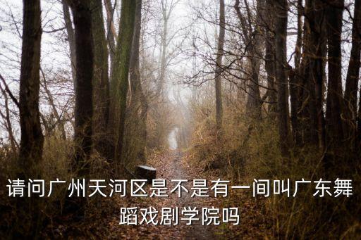 请问广州天河区是不是有一间叫广东舞蹈戏剧学院吗