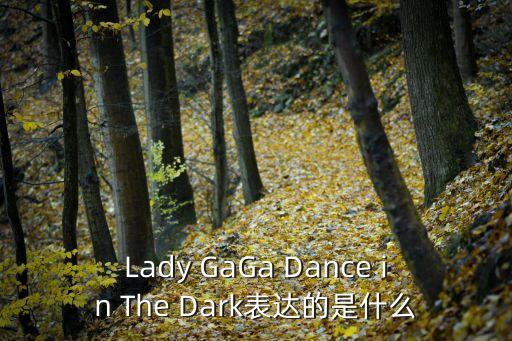 Lady GaGa Dance in The Dark表达的是什么