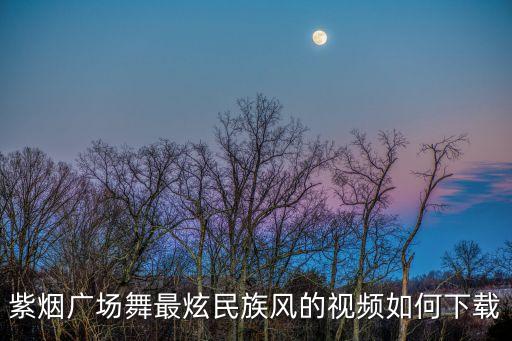 广场舞最爱民族风怎么下载，紫烟广场舞最炫民族风的视频如何下载