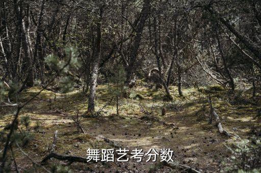 舞蹈艺考满分多少分，陕西省艺术统考满分是多少