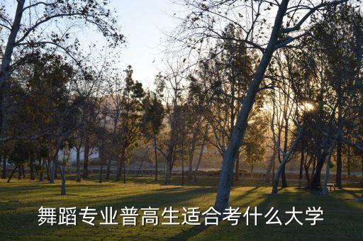 舞蹈专业普高生适合考什么大学