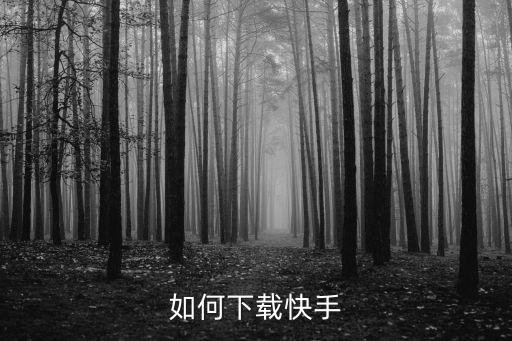 如何下载快手