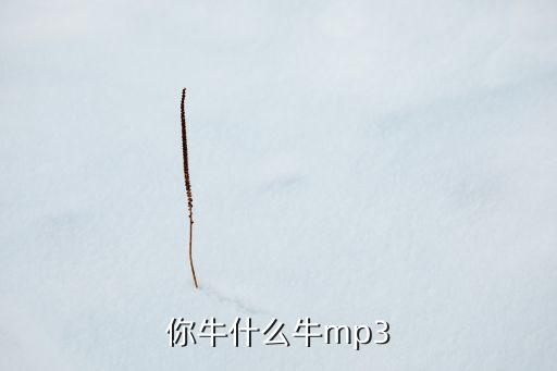 你牛什么牛mp3