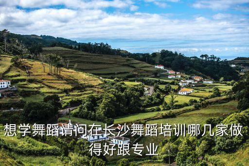 想学舞蹈请问在长沙舞蹈培训哪几家做得好跟专业