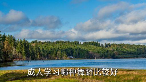 成人学习哪种舞蹈比较好