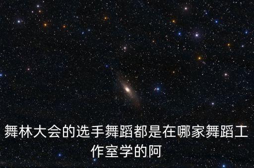 舞林大会的选手舞蹈都是在哪家舞蹈工作室学的阿