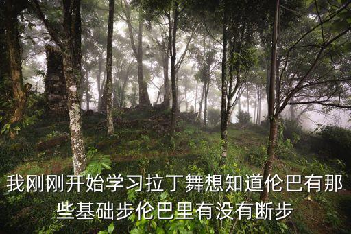 伦巴有哪些基本步视频，我刚刚开始学习拉丁舞想知道伦巴有那些基础步伦巴里有没有断步