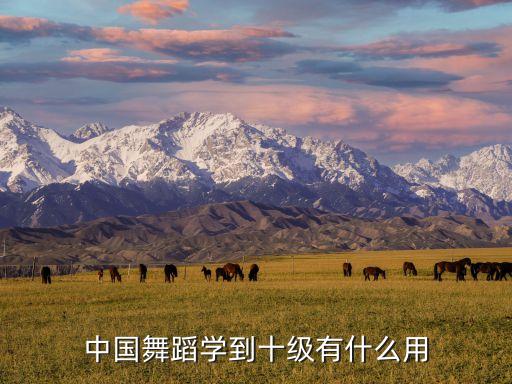 中国舞蹈学到十级有什么用
