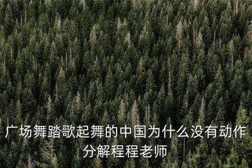 广场舞踏歌起舞的中国为什么没有动作分解程程老师