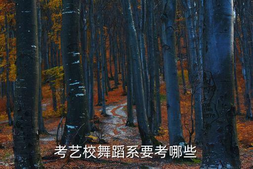 舞蹈学院考什么，我报考舞蹈专业想知道考试都考哪些内容