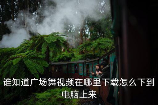 谁知道广场舞视频在哪里下载怎么下到电脑上来