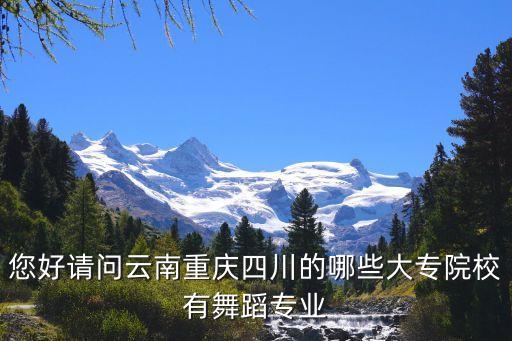舞蹈专业的大专学校，那些好一点的大专院校有舞蹈专业