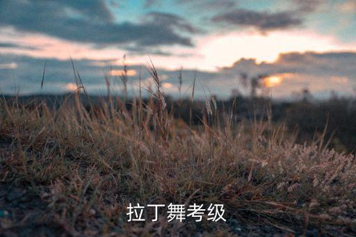 拉丁到三级是什么概念，学习拉丁舞三级主要是学习些什么