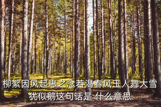 孔子玉人舞表达什么，柳絮因风起思之念若渴春风玉人舞大雪犹似鹅这句话是 什么意思