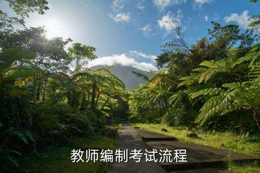 舞蹈老师怎么考编，教师编制考试流程