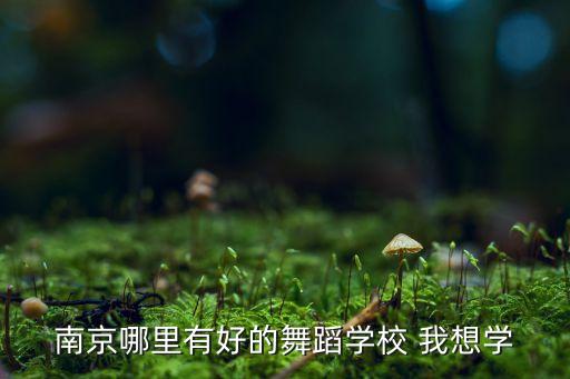 南京哪里有好的舞蹈学校 我想学