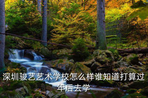 深圳骏艺艺术学校怎么样谁知道打算过年后去学