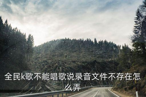 全民k歌不能唱歌说录音文件不存在怎么弄