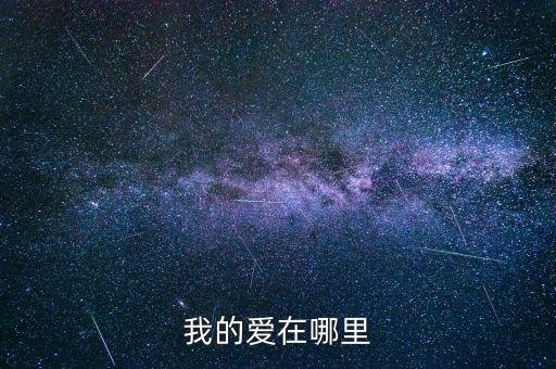 我的爱在哪里