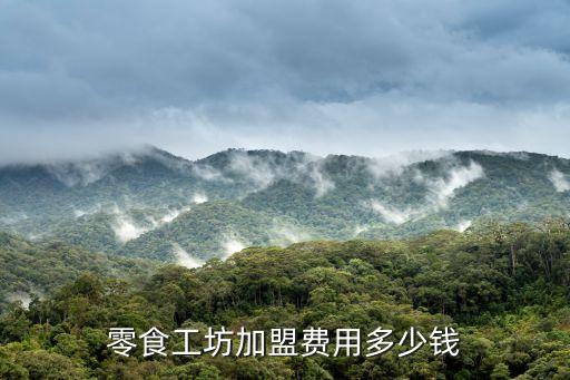 舞动宝贝加盟多少钱，加盟诸葛亮希望读书社费用是多少
