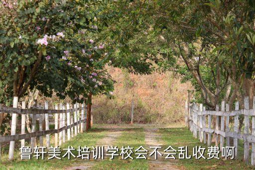 鲁轩美术培训学校会不会乱收费啊