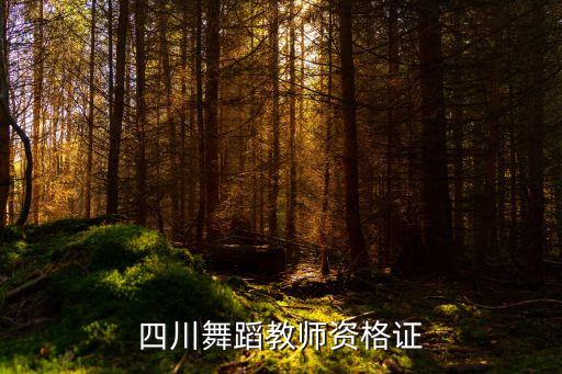 四川舞蹈教师资格证