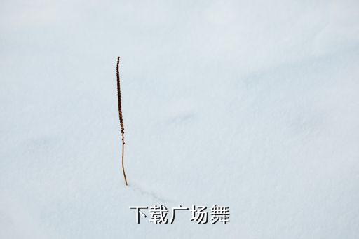 下载广场舞