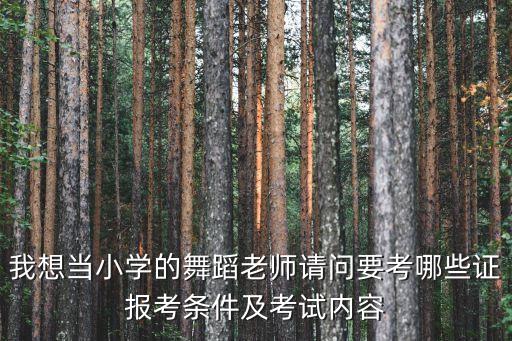 2020舞蹈教师资格证报考条件，老师你好我想问一下考中国舞教师资格证有什么要求吗年龄