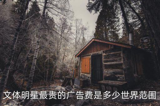 文体明星最贵的广告费是多少世界范围