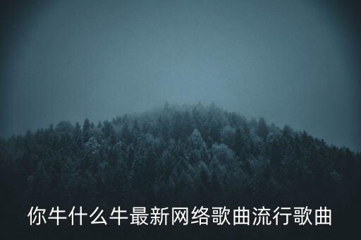 你牛什么牛最新网络歌曲流行歌曲