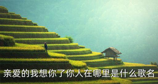 亲爱的我想你了你人在哪里是什么歌名