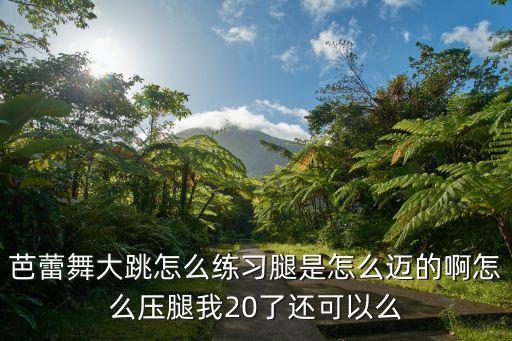 芭蕾舞大跳怎么练习腿是怎么迈的啊怎么压腿我20了还可以么