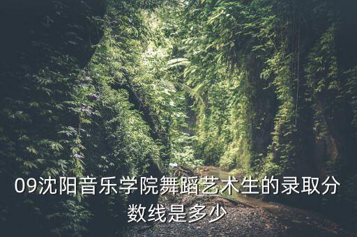 沈阳音乐学院舞蹈，沈阳音乐学院大连校区舞蹈系好吗