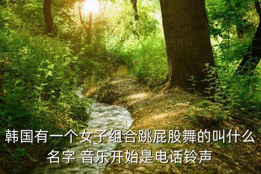 韩国开胯舞是什么名字，韩国有一个女子组合跳屁股舞的叫什么名字 音乐开始是电话铃声
