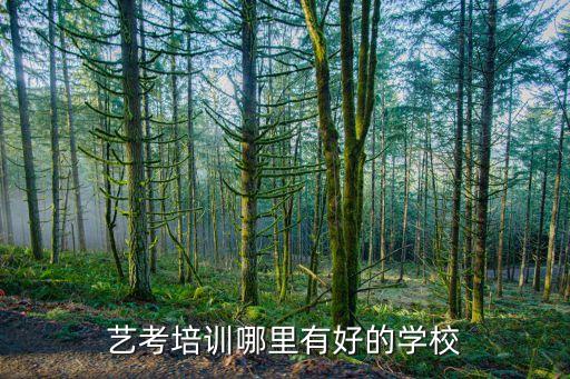 艺考培训哪里有好的学校