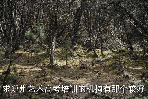 郑州飞扬音乐艺考培训学校怎么样，我想去学音乐郑州哪个艺术培训中心好同志们给点意见谢谢啊