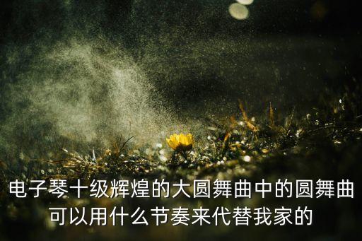 电子琴十级辉煌的大圆舞曲中的圆舞曲可以用什么节奏来代替我家的