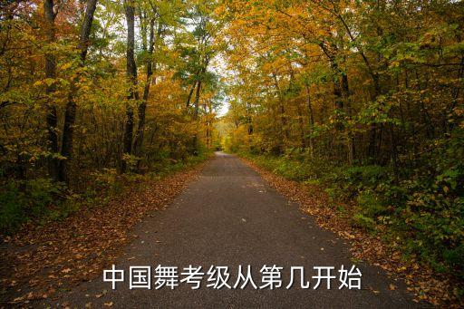 中国舞考级从第几开始