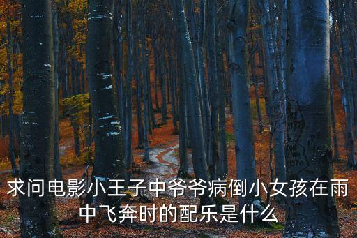 求问电影小王子中爷爷病倒小女孩在雨中飞奔时的配乐是什么