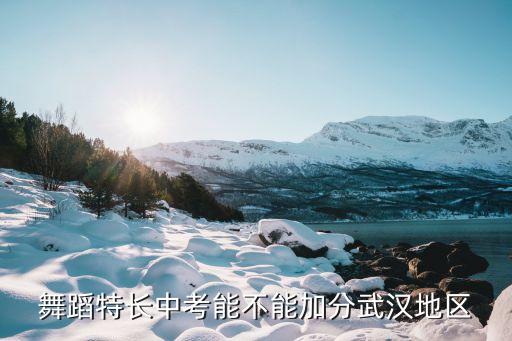 中考舞蹈加分吗2021，舞蹈特长中考能不能加分武汉地区