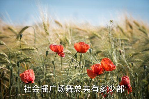 社会摇广场舞总共有多少部