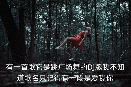 有一首歌它是跳广场舞的DJ版我不知道歌名只记得有一段是爱我你