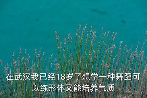 在武汉我已经18岁了想学一种舞蹈可以练形体又能培养气质