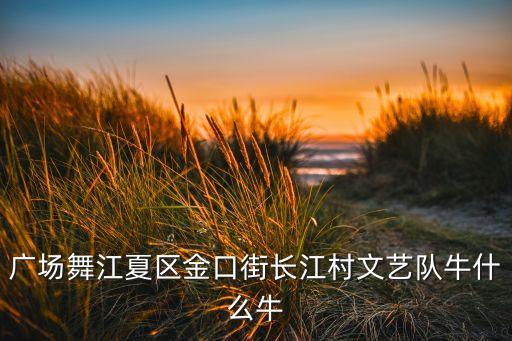 广场舞江夏区金口街长江村文艺队牛什么牛