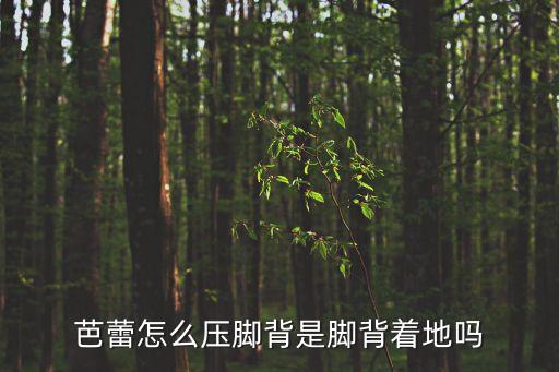 芭蕾怎么压脚背是脚背着地吗