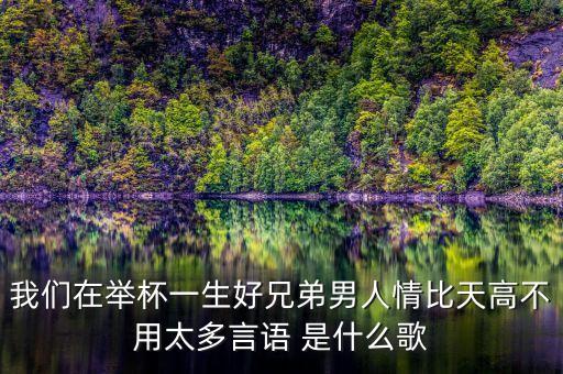 我们在举杯一生好兄弟男人情比天高不用太多言语 是什么歌