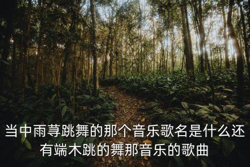 舞雨是什么意思是什么歌曲，当中雨荨跳舞的那个音乐歌名是什么还有端木跳的舞那音乐的歌曲