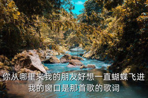 你从哪里来我的朋友好想一直蝴蝶飞进我的窗口是那首歌的歌词